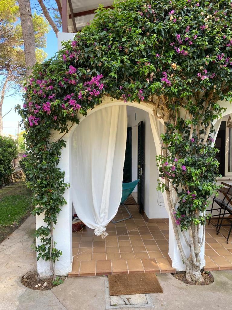 Bellver 1, Ciutadella-Cala Blanca Κάλα Μπλάνκα Δωμάτιο φωτογραφία